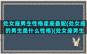 处女座男生性格星座最配(处女座的男生是什么性格)(处女座男生 性格特点)